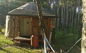 Biały Las Jurta